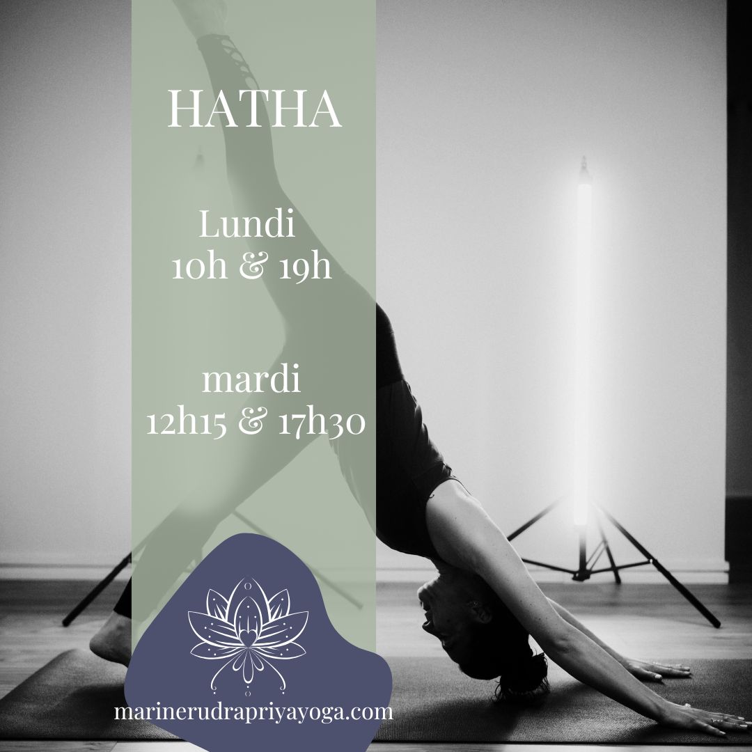 hatha yoga